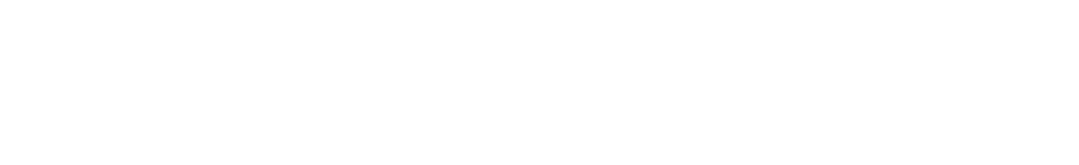 Desert Lovers and Co logo