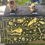 Paleo Society Banner