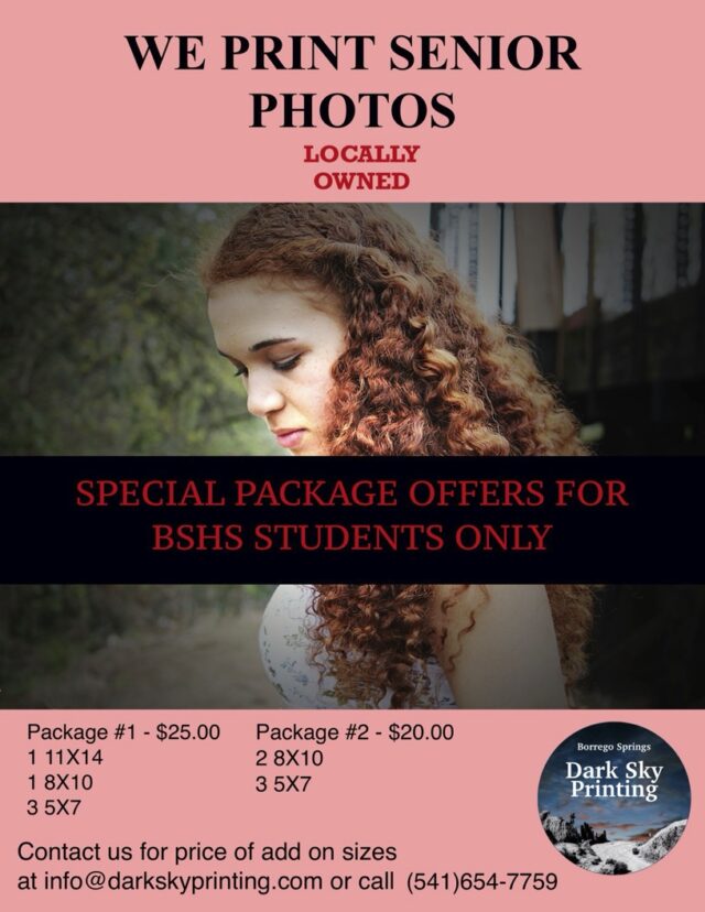 Senior Photo Flyer